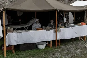 Veveří (98).webp